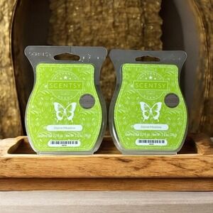 Scentsy Wax Melt Bar‎ Set of 2 ALPINE MEADOW Green DISCONTINUED Scent NEW